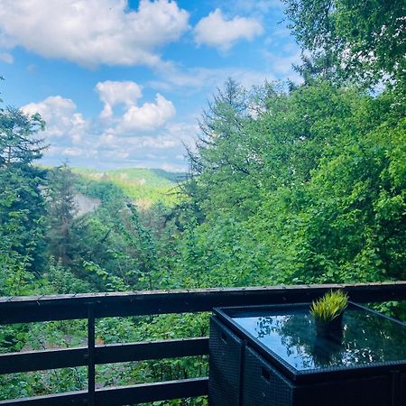 Woody Lodge - Duplex Nature Bonsoy Ardennes Hastiere-par-dela Esterno foto