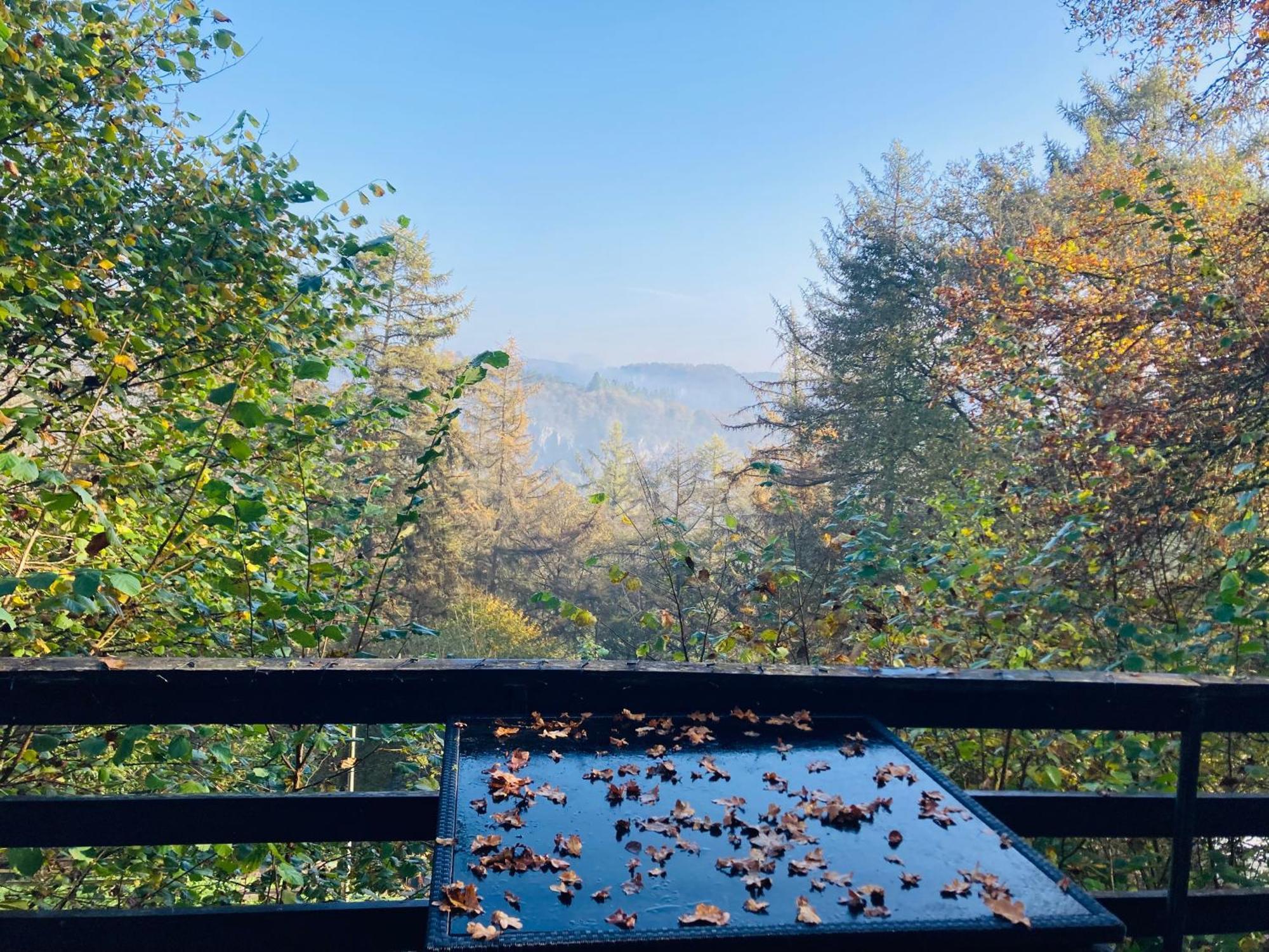 Woody Lodge - Duplex Nature Bonsoy Ardennes Hastiere-par-dela Esterno foto