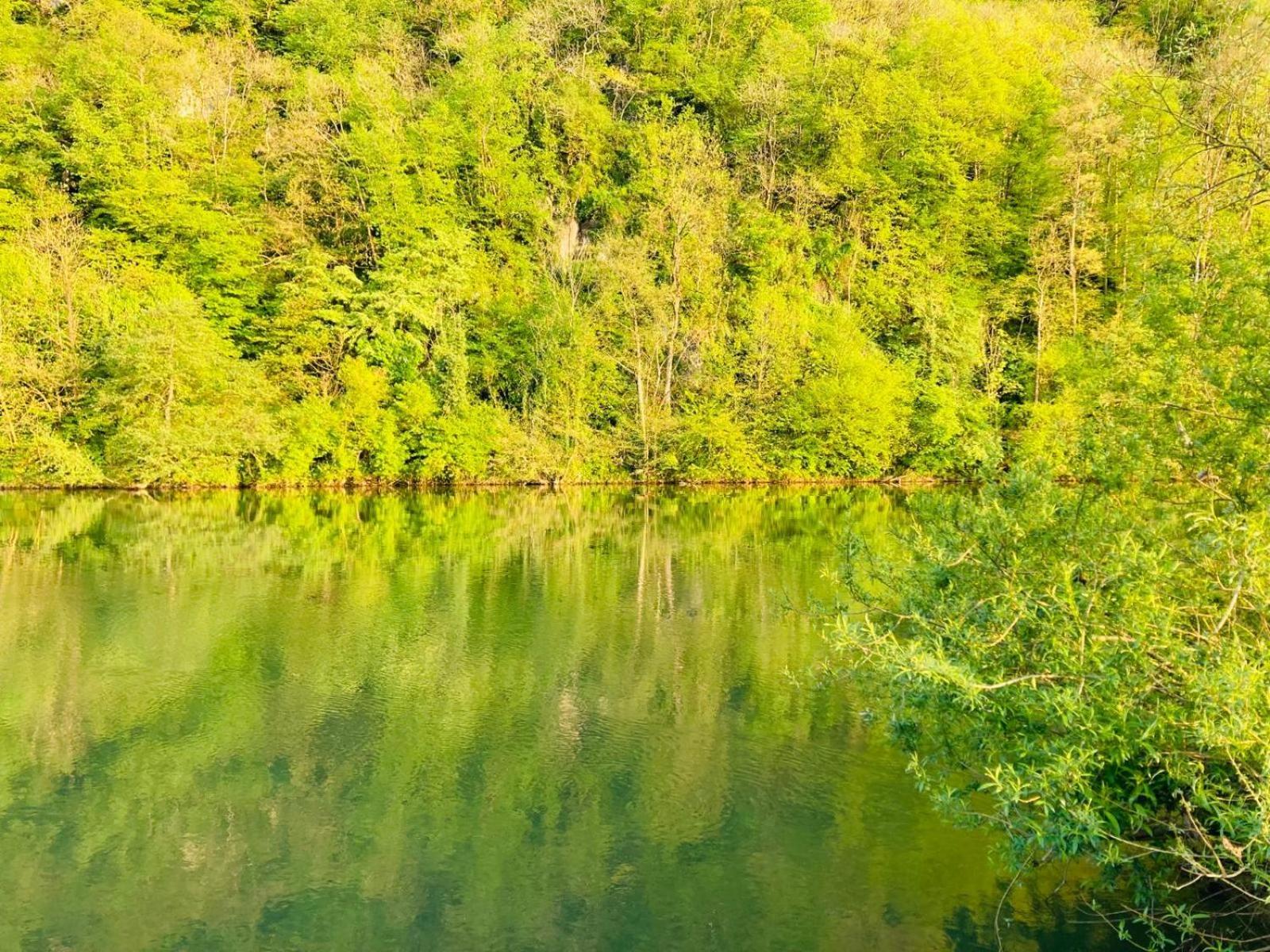 Woody Lodge - Duplex Nature Bonsoy Ardennes Hastiere-par-dela Esterno foto