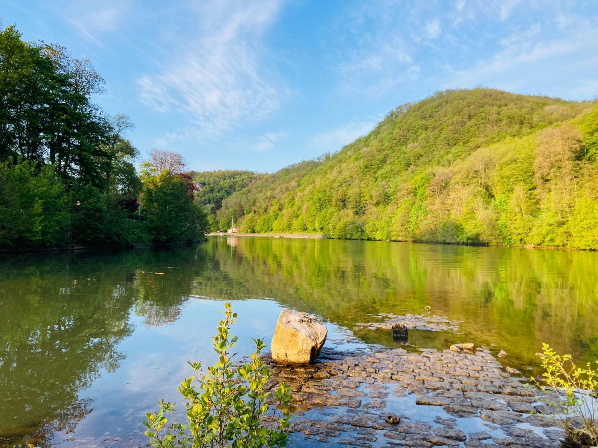 Woody Lodge - Duplex Nature Bonsoy Ardennes Hastiere-par-dela Esterno foto