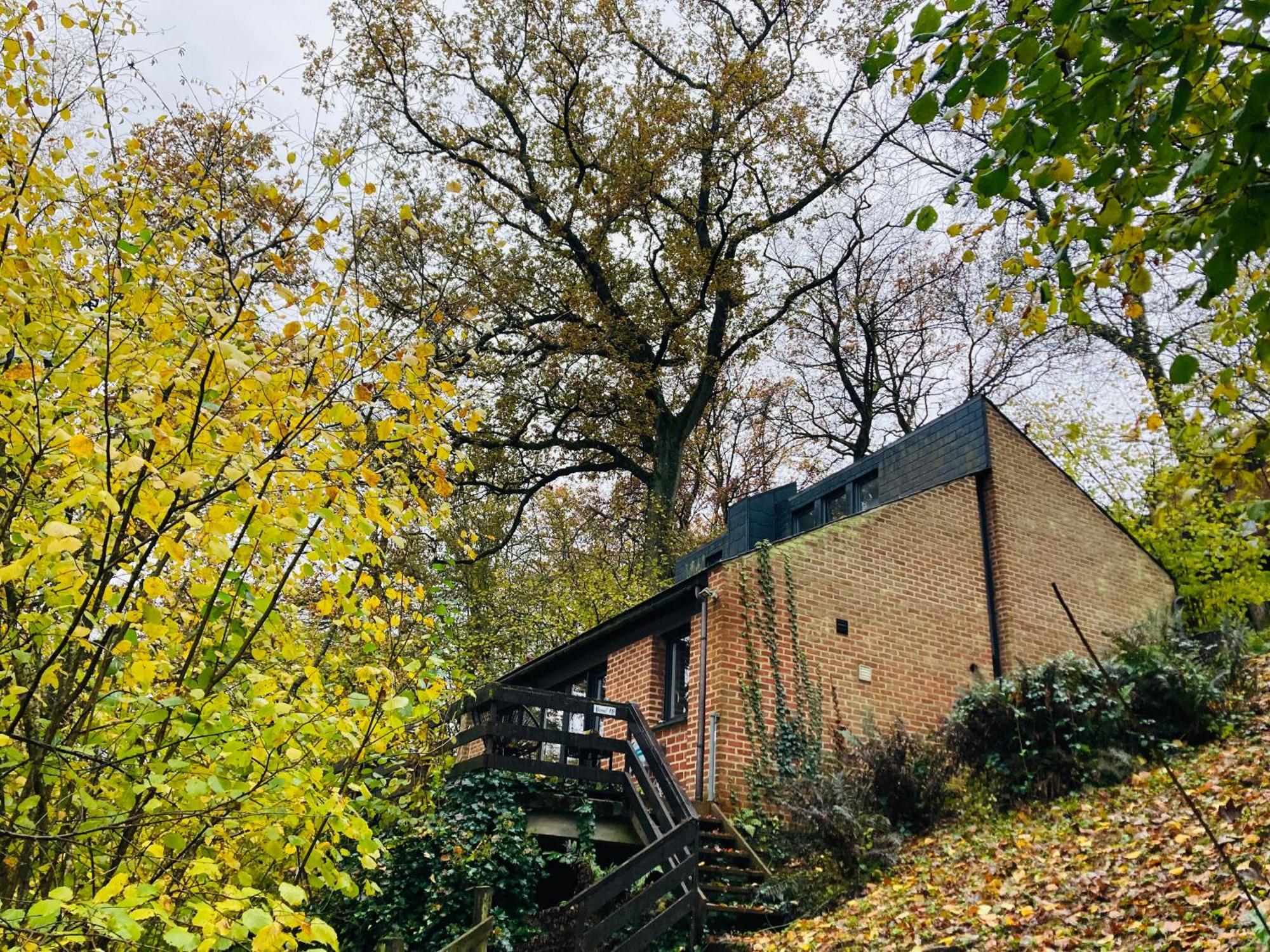 Woody Lodge - Duplex Nature Bonsoy Ardennes Hastiere-par-dela Esterno foto