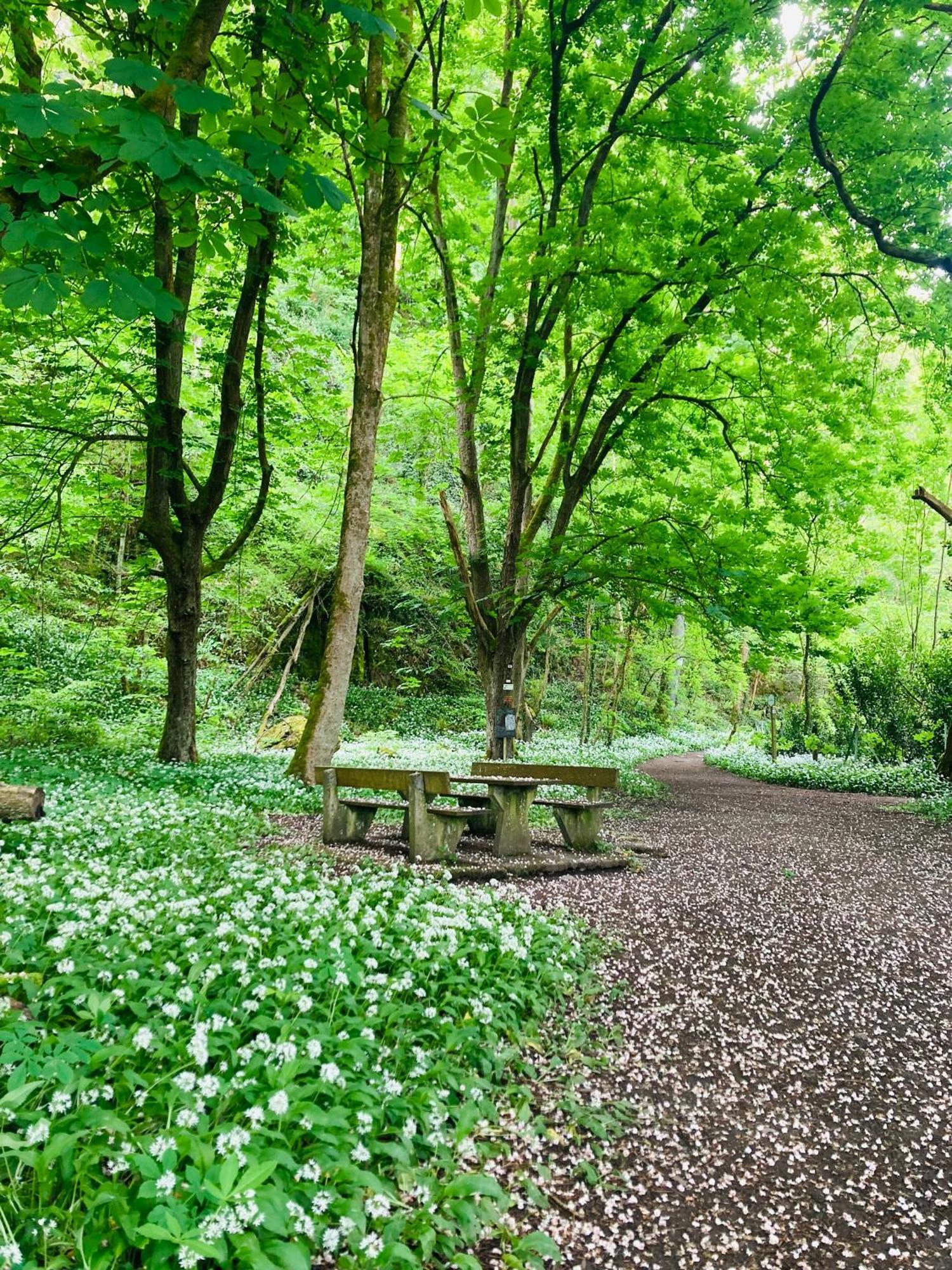Woody Lodge - Duplex Nature Bonsoy Ardennes Hastiere-par-dela Esterno foto