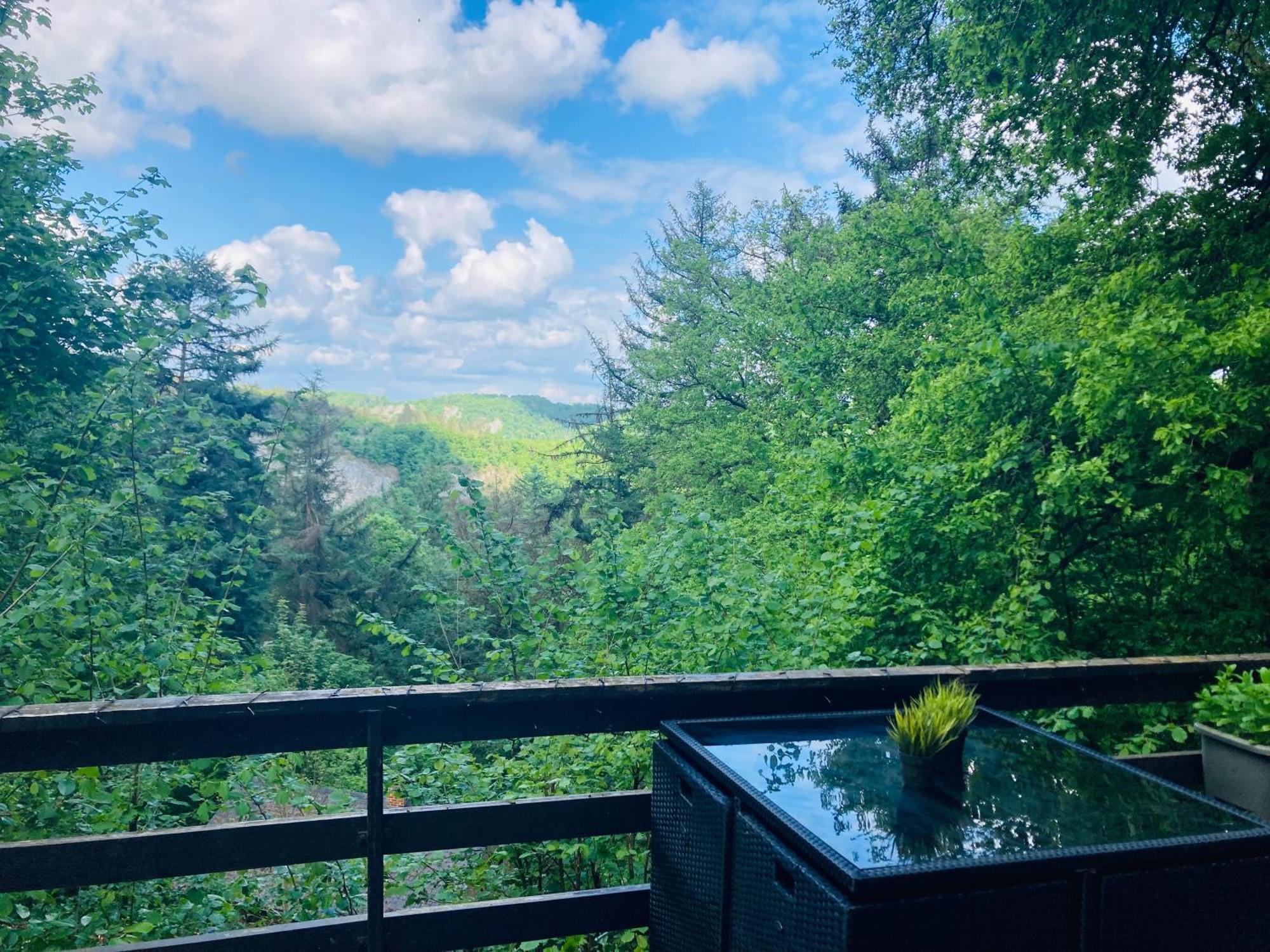 Woody Lodge - Duplex Nature Bonsoy Ardennes Hastiere-par-dela Esterno foto